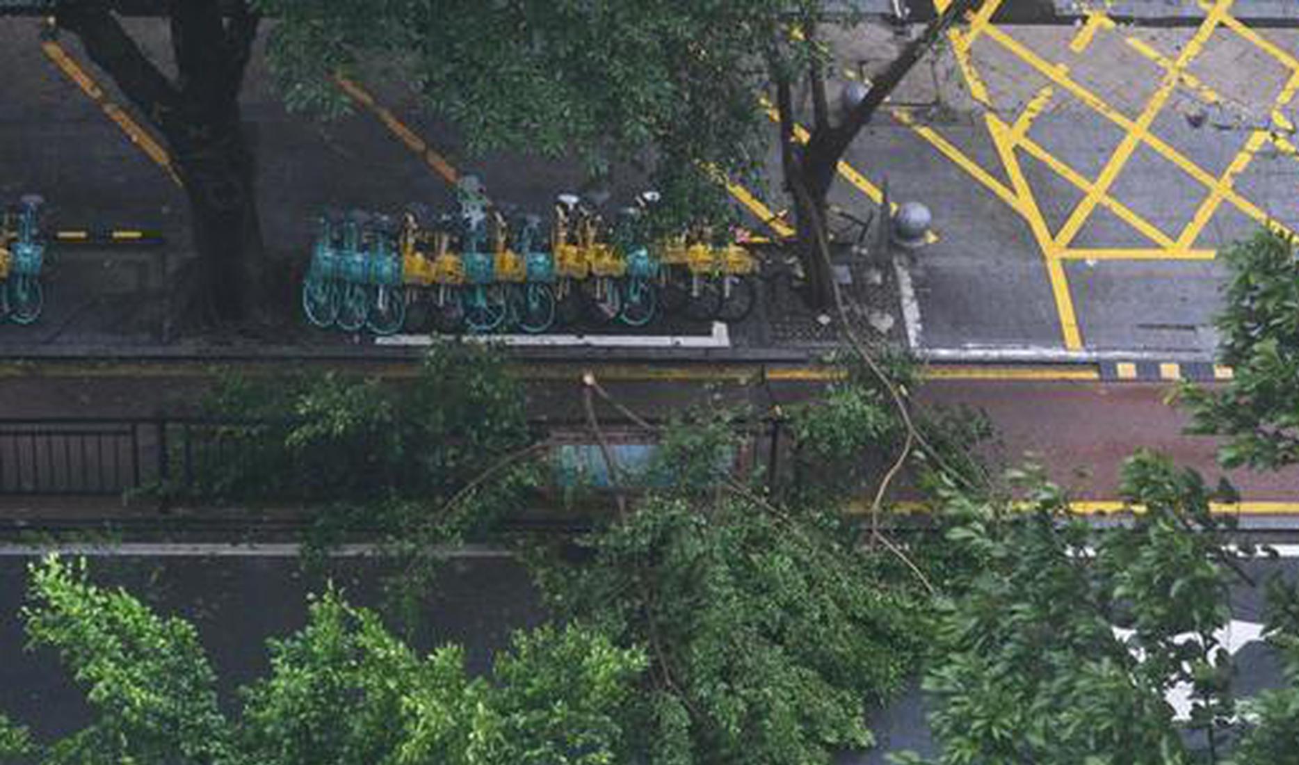 BRI cooperation framework for disaster response expanded