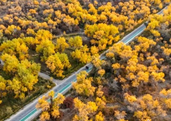 ASEAN mulls carbon taxes to cut emissions