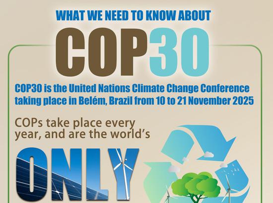 COP30: Numbers and highlights