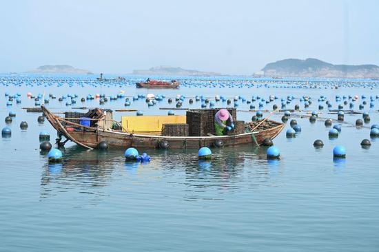 Warning systems aid Fujian fishermen