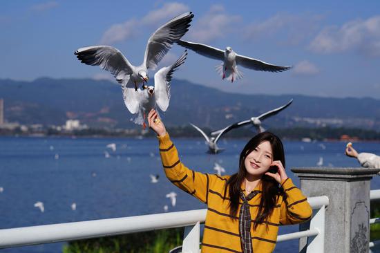 People appreciate seagulls, enjoying warm sunshine in southwest China