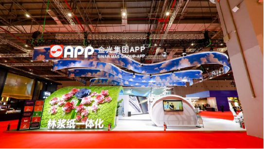 Overseas Chinese Businesses and CIIE: A Tale of Mutual Growth