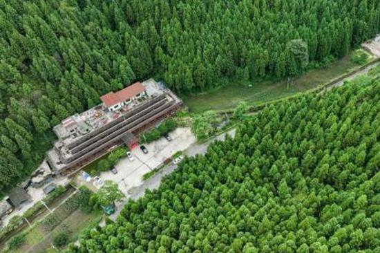 Shipping industry on course for greener future