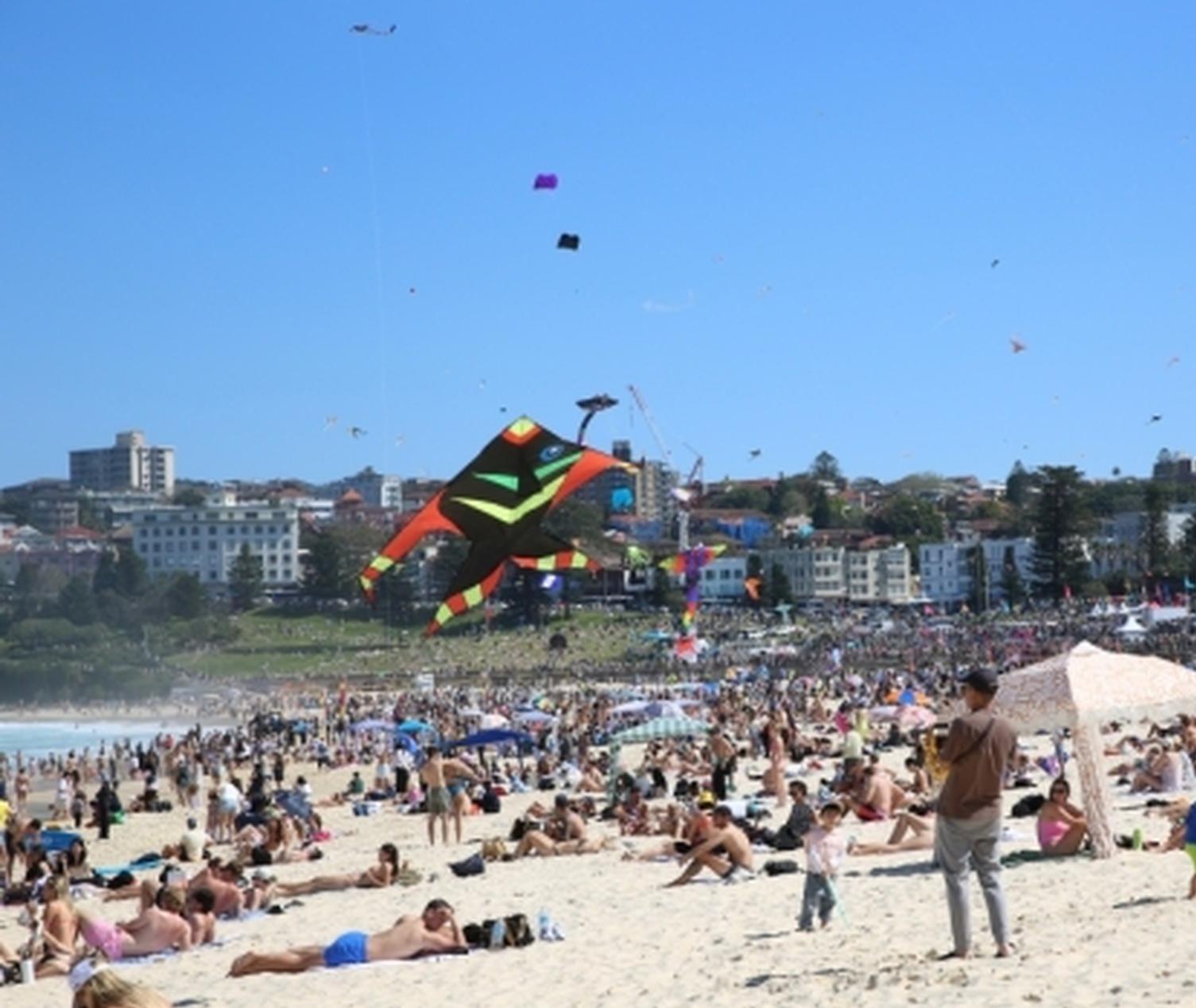 Australian public favors stronger China ties: Poll