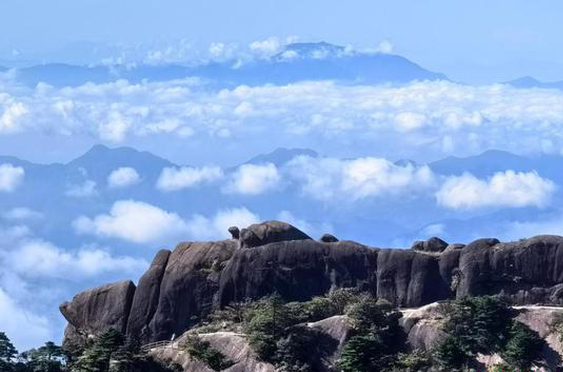 Separatist plans of Lai slammed