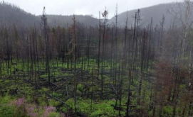 From Paris to Belém