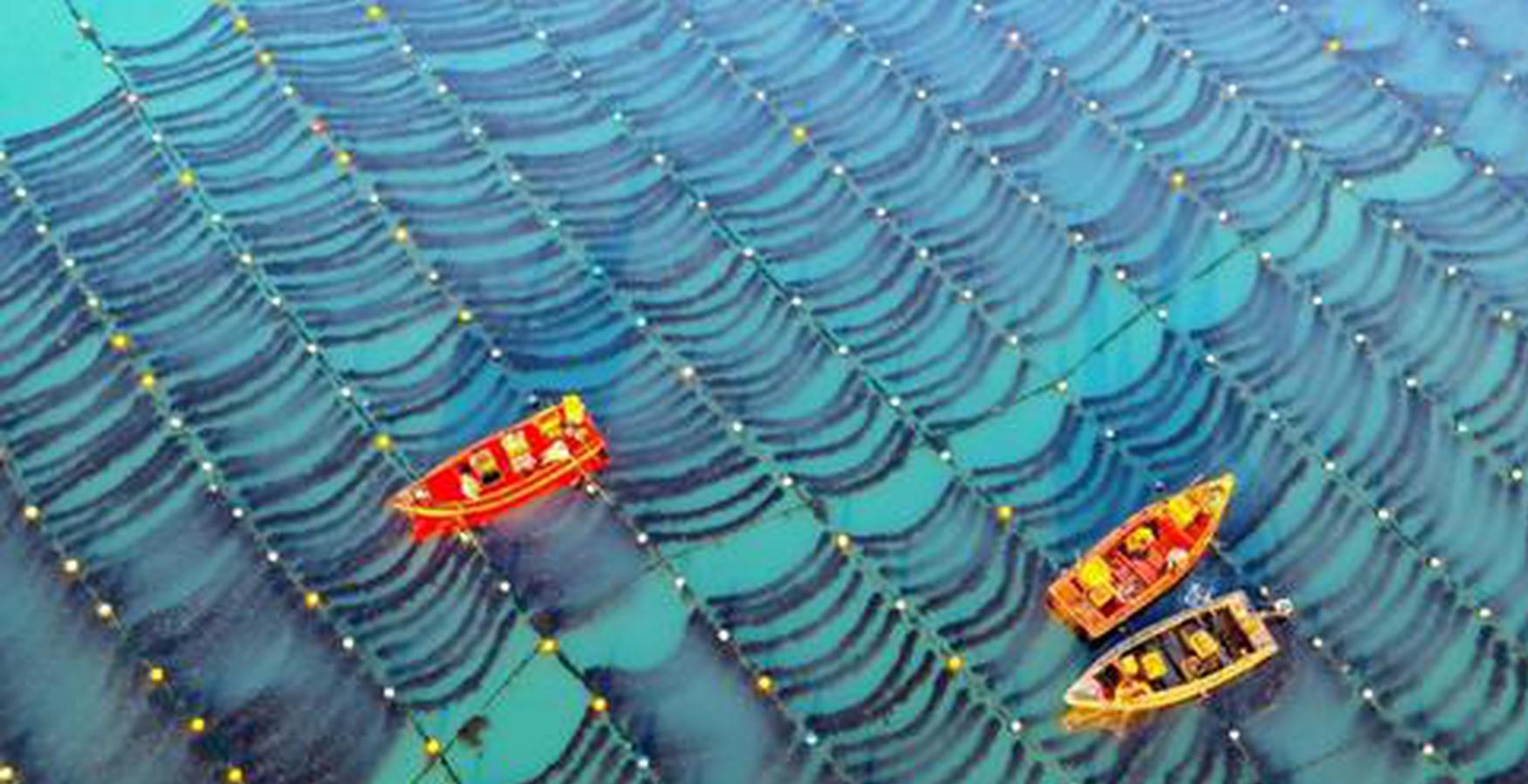 Future energy to take center stage at Marintec China 2025