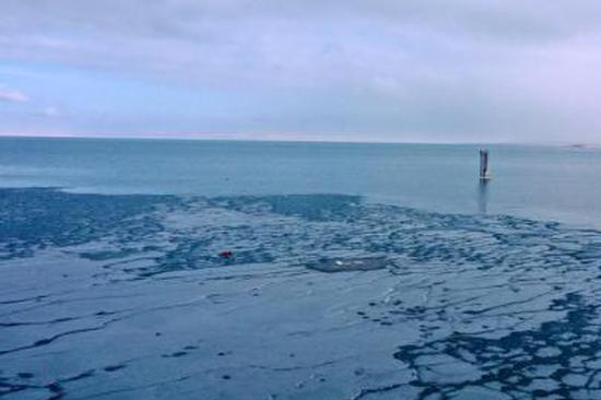 13-year-old girl praised for heroic rescue of child from icy lake