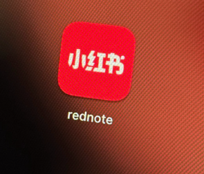 Mainland decries DPP's RedNote ban