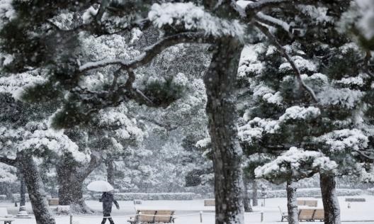 The Takaichi Fallout: Japan's economy faces multiple tests amid policy crosscurrents