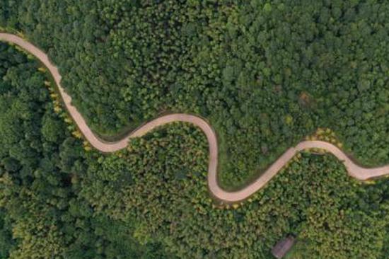 8 killed as van carrying kids plunges into pond