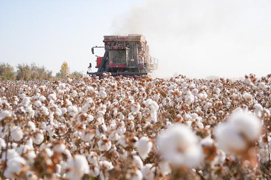 Xinjiang ramps up cotton, textiles biz