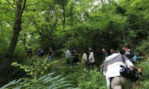 China, New Zealand reaping rewards of kiwifruit cooperation