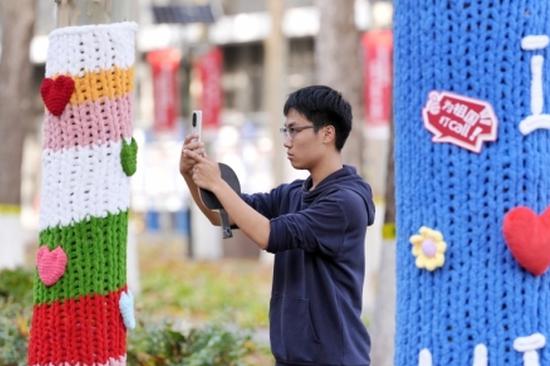 Chongqing trees get cozy in colorful sweaters