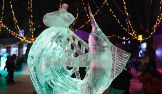 China-Austria winter carnival kicks off in Shanxi