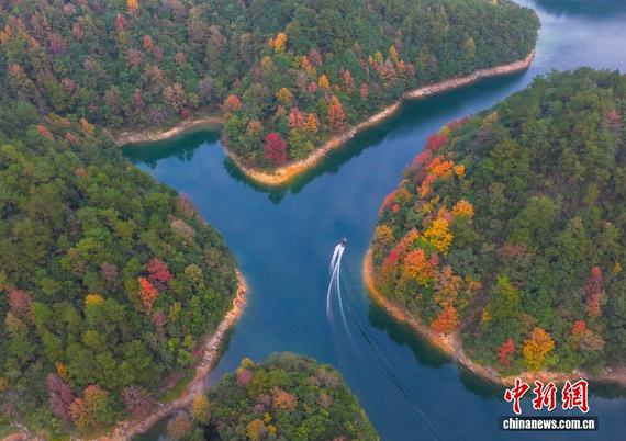 Photo taken on Nov. 11, 2025 shows the landscape of Hangzhou City in Zhejiang Province. (Photo provided to China News Service)