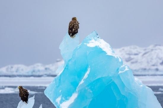 Greenland rejects Washington's takeover threat