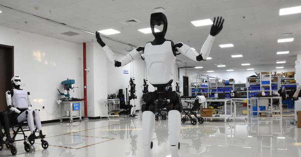 Embodied robots trained in multimodal scenarios