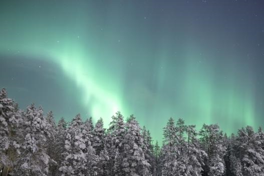 China, Finland to deepen trade ties during Finnish PM's upcoming visit: official