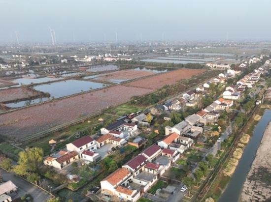 First batch of eco-friendly pioneer zones for construction of beautiful countryside unveiled