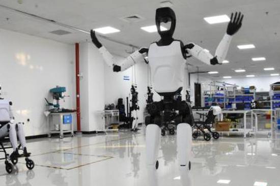 The iron duo: Robots help secure power veins on central China's icy peaks