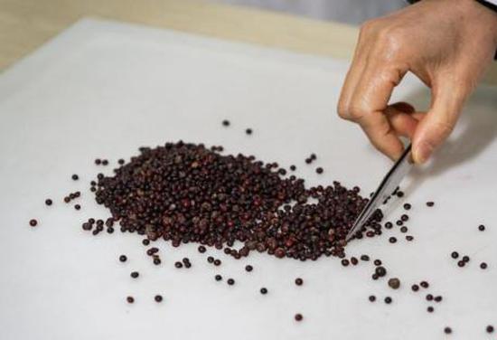 Century-old TCM pharmacy pivots to become fashionable wellness brand