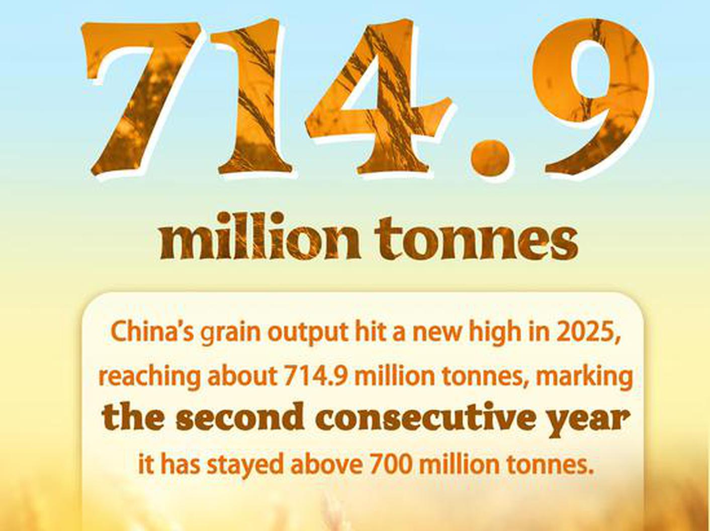 In Numbers: China's grain output hits new high in 2025