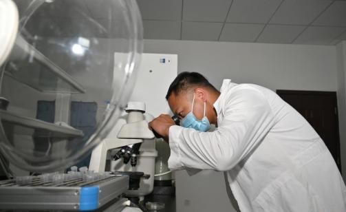 Development of integrated circuit sector sketched out in Guangzhou