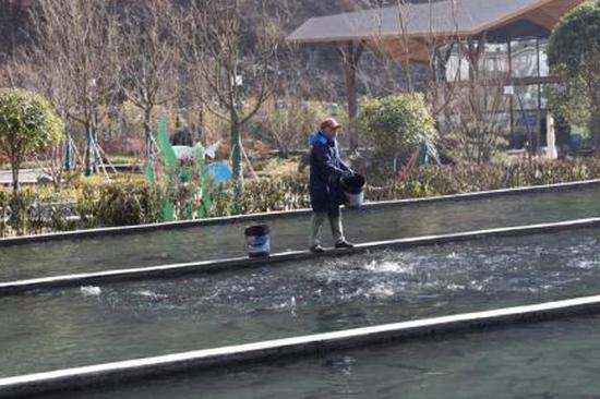 EU's new system to tackle illegal fishing overwhelmed