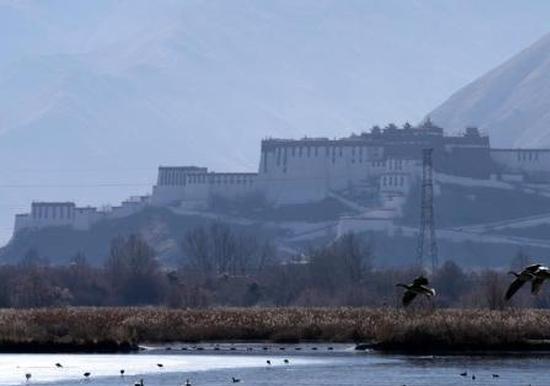 AI innovations to bolster Xizang's digital economy