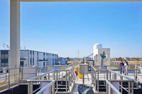 New tech converts leftovers into green fuel for ships