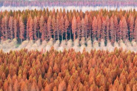 Legislator highlights AI, tech and awareness to reduce weather risks