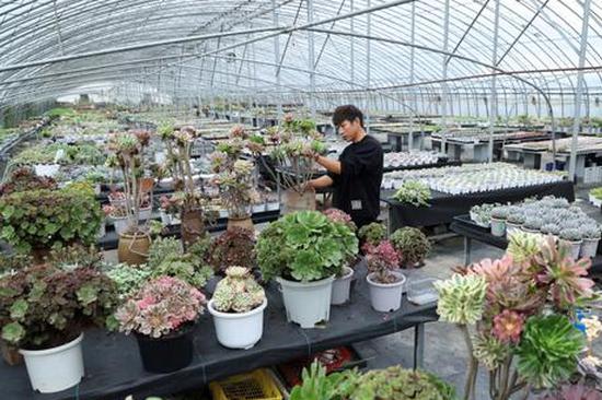 Bridging the last mile so that farm technology reaches field and table