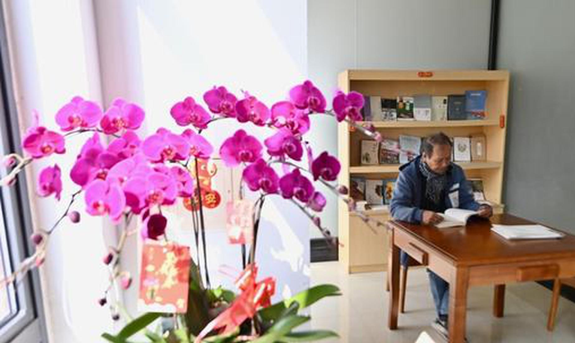 Development prospects of Chinese private sector will become even broader: spokesperson