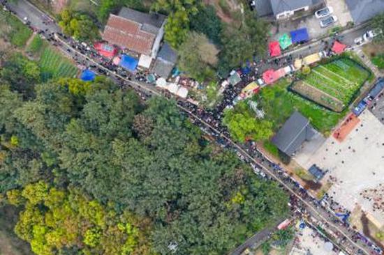 China to prioritize agriculture, rural areas with comprehensive vitalization plan in 2026: draft govt work report