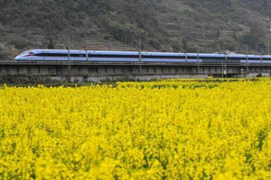 Grain output to hit 725 mln tonnes by 2030: How China secures its 'rice bowl'
