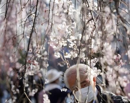 Japan's ruling bloc pushes fiscal 2026 budget through lower house amid criticism