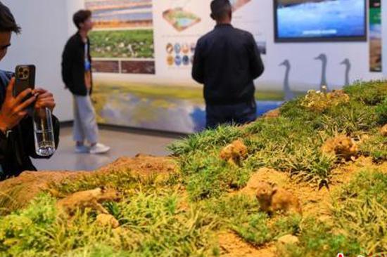 China boosts natural resource support for major projects