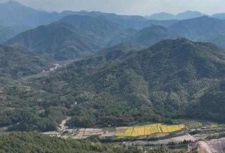 Chinese scientists discover 'zero-pollution' microbial herbicide