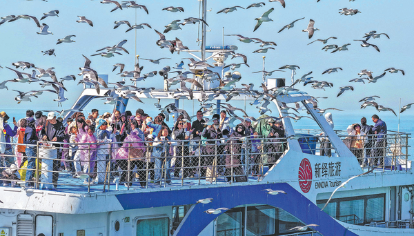 Tourists enjoy close encounters with black-tailed gulls during a boat ride off Rongcheng, Shandong province, on Saturday. (LI XINJUN/FOR CHINA DAILY)