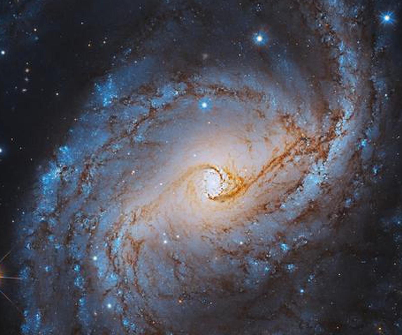 U.S. launches Artemis II crewed Moon mission