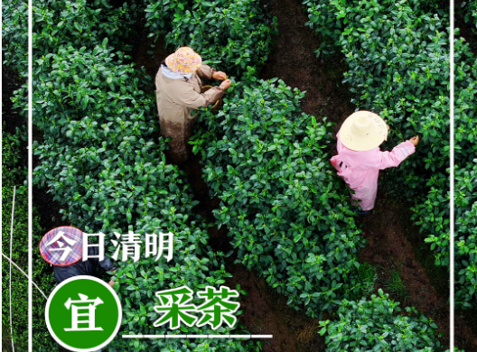 Qingming Festival holiday drives tourism surge