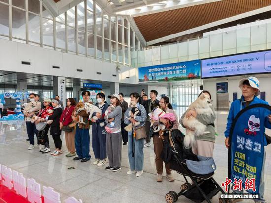 A South Korean pet-friendly inbound tour group arrived in Qingdao on April 1 for a three-day trip.  (Photoed by Guan Yuxuan)