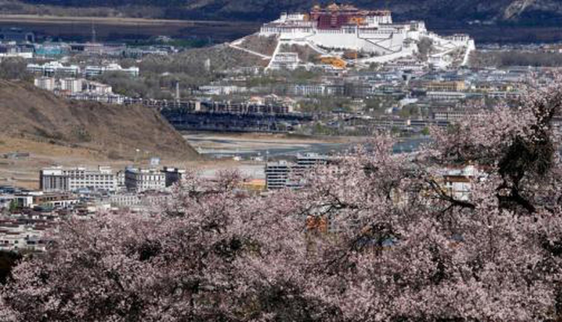 Construction of solar thermal power plant at altitude of 4,550 meters starts in China's Xizang