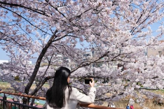 Chinese Foreign Minister Wang Yi to visit DPRK