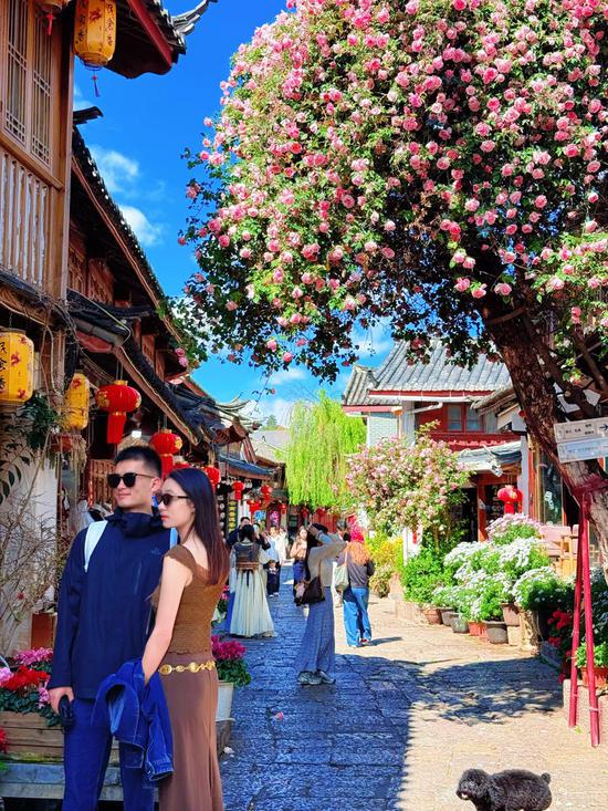 A couple poses by a rose tree in Dayan Ancient Town, Lijiang, Yunnan Province. (Photo provided to chinadaily.com.cn)