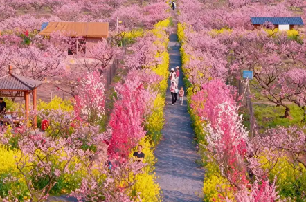 ColorWalk goes viral on social media