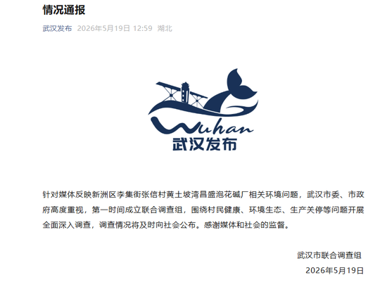 Central China's Wuhan launches probe into reports of alleged 'cancer village'