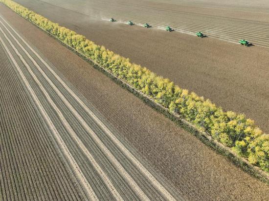 China issues 5-year plan for agricultural, rural modernization