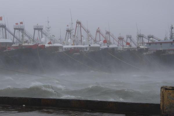 This photo taken on Oct. 5, 2025 shows undulating waters at a seaport in Maoming City of south China's Guangdong Province. Typhoon Matmo, the 21st named storm of the 2025 Pacific typhoon season, made landfall along the eastern coast of Xuwen County, Zhanjiang City, also in Guangdong Province around 2:50 p.m. on that day. (Xinhua/Pan Yujie)